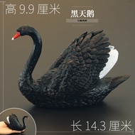Educational Realistic Animal Toys for Kids