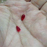 [PERUBATAN ISLAM] Buntat delima buah asli batu dalam buah delima merah