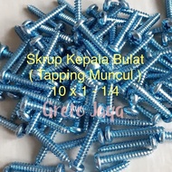 (10X1.1/4 100Bj 3Cm) Round Head Screws Appears 10 X 1 - 1/4