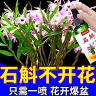 有機肥 花肥 開花肥 肥料 氮磷鉀 磷鉀肥 磷酸二氫鉀 【爆花劑】蘭花專用肥料防黃葉爛根空根催芽催花蘭草花專用營養液