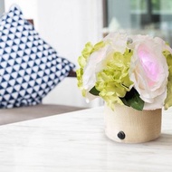 【Green Hana】節能光感應玫瑰花燈 小夜燈 婚禮布置 喬遷禮物