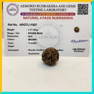 4 Mukhi (4 Face) Lab Certified Original Rudraksha Bead with Hole for Mala