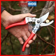 Gunting Dahan / Garden Shears / Heavy Duty Garden Shears / Pruning Shears / Garden Scissors / Garden
