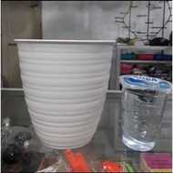 151 white wasp flower pot, 151 tall wasp pot, nice tapered flower pot