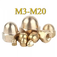 Copper Cap Type Nut Cap Nut Nut Nut Copper Nut/M3/M4/M5-M20 (FKY-RM-PH)