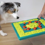 【瑞典益智玩具】 狗大師-棋盤高手 LV4 寵物玩具