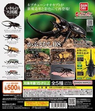 甲蟲 扭蛋 獨角仙 08 生物大圖鑑