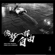 【音樂年華】汪峰-像夢一樣自由/飛得更高/存在/LP黑膠唱片