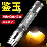 Egg Illuminator Strong Light Professional Egg Illuminator Tester Cold Light Rechargeable Inspection 