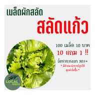 🌱เมล็ดผักสลัดอินทรีย์ ผักกาดแก้ว(หอมห่อ) 100 เมล็ด 10แถม1 🌱อัตราการงอกสูง มีคู่มือการปลูกทุกซอง เมล็