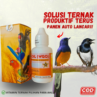 WGO Vitamin Suplemen obat Ternak Breeding Burung Murai Batu Dan Kacer Biar Cepat Bertelur