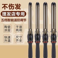 hair curler automatic hair curler Hair Curler