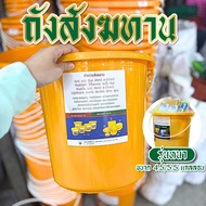 Sangkhathan Tank Thick Model 1 Piece Size 4.5 Gallon/5.5 Gallons With Handle Plastic Water Yellow