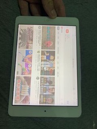 Apple iPad mini 2 16G WiFi 7.9吋 銀色 500萬畫素螢幕有白條紋