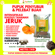 Pupuk Khusus Tanaman Jeruk / Pupuk Penyubur Pohon Jeruk / Pupuk Pohon Jeruk Santang / Pupuk Pohon Je
