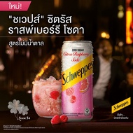 Schweppes Citrus Raspberry Zero Sugar 330ml