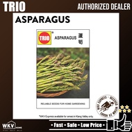 Trio Asparagus Seeds/芦笋种子 Non-GMO, Reliable Seed for Home Gardening