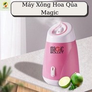 Marich Face Steamer Convenient For Each Family