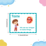 Ear Childhood Education Five Senses Educational Poster Enlightenment English Wall Chart Early Childh