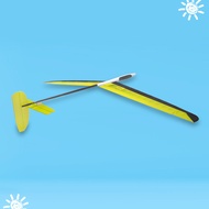 DLG Lightwood Glider Hand Throwing Airplane EZ Ghost F3K Professional Competition Fixed Wing Remote 