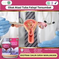 Obat Penyumbatan Tuba Falopi, Obat Penyumbatan Tuba Falopi Di Rahim