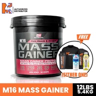 Bsfn M16 Mass Gainer 12 lbs/5.4 kg + (Free Shaker/tshirt ) Detail MASS M16 (BULKING)