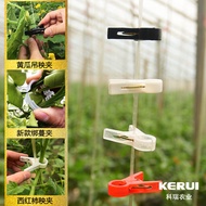 Hanging Seed Clip Plastic Binding Vine Clip Binding Branch Clip Greenhouse Cucumber Tomato Vegetable