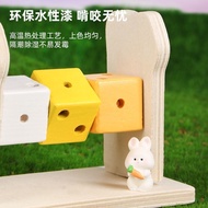 Cadangan Popular: Mainan Cakera Keju Berbentuk Kubus untuk Hamster, Set Gigi Hamster Emas, Hiasan Ka