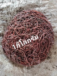 ไส้เดือน AF บรรจุ 1 กิโลกรัม