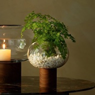 【LSA】OBLATE橢圓花瓶附胡桃木底座19.5cm-透明