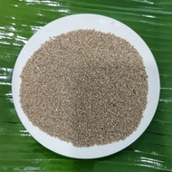 MFMG AJWAIN SEED / OMUM SEED