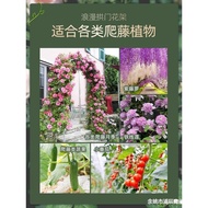 M-8/ Arch Flower Rack Lattice Garden Arches Outdoor Grape Chinese Rose Clematis Iron Bracket Climbing Type OTMK