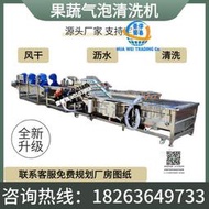 蒜苗橙子沃柑清洗機棗青梅韭菜清洗加工流水線果蔬氣泡清洗機大型
