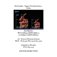 SEA Studio - Vegeta VS Goku - Goku