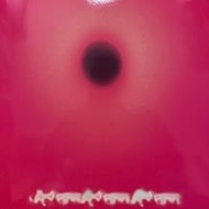 45 Pounds [Vinyl LP]