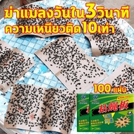 ดักแมลงวัน ไล่แมลงวัน กาวดักแมลงวัน 100 แผ่น รุ่นกระดาษ ส่งไว!! กาวดักแมลง แผ่นกาวดักแมลงวัน เหนียวแ
