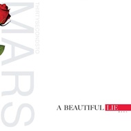 BLACK DISC THIRTY SECONDS TO MARS VINYL/ - BEAUTIFUL LIEa (1LP, BLACK)