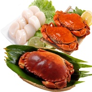 【華得水產】英國野生爆卵麵包蟹1隻(600-700g/隻)  +爆蛋紅蟳150克x1隻+干貝200克x1包（3件組）