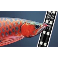 3 to 6ft Bright Fish Tank submersible light. 2 row led. white &amp; pink colour. soft tanning for arowana.
