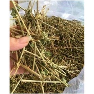 1KG DRIED CAGAI CAMPUS