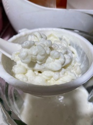 活躍Kefir bb
