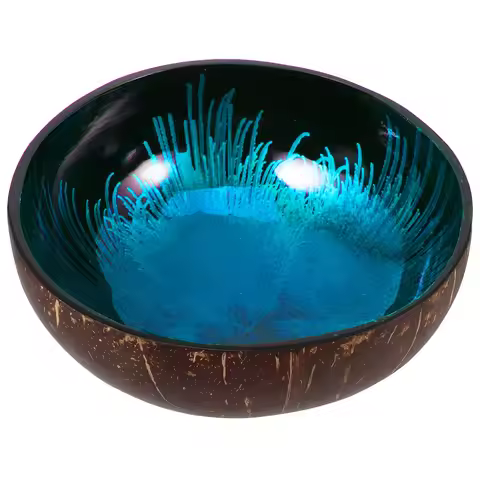 Artisan Coconut Shell Bowl Natural Eco Conscious Decorative Storage Bowl for Candies Nuts Keys Livin