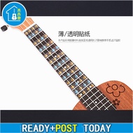 Ukulele Sticker Fretboard Scale Sticker Fingerboard Note Label Fret Stickers
