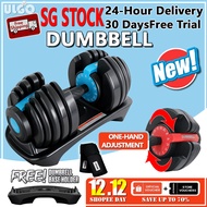 【Next-Day Delivery】12/H Dumbbell Adjustable Dumbbell 24-40KG Weight Adjustment