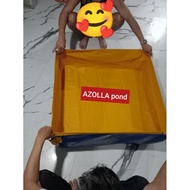 AZOLLA TRAPOND PVC TYPE FOR CRAYFISH AZOLLA AFFORDABLE PRICE