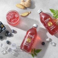 【Kai】有機藍莓薑汁康普茶 330ml*12瓶