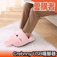 日本 Crebnny USB暖腳器 暖腳寶 電暖腳 暖腳墊 電熱鞋 電熱墊 電熱 暖腳神器 保暖 加熱【愛購者】