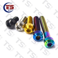 TS Titanium Alloy Forged M8 Screw M8X15/20/25/30/35/40/45/50mm Cylindrical Head Inner Torx Bicycle Crank Motorcycle Engine Shell Modified Bolt Riding/Motorcycle Caliper Modification