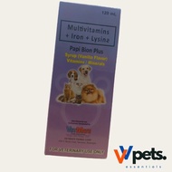 Papi Bion Multivitamins + Iron + Lysine 120ml with 3cc Syringe