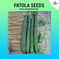 Patola  Seeds (Fast Growing) 30 seeds